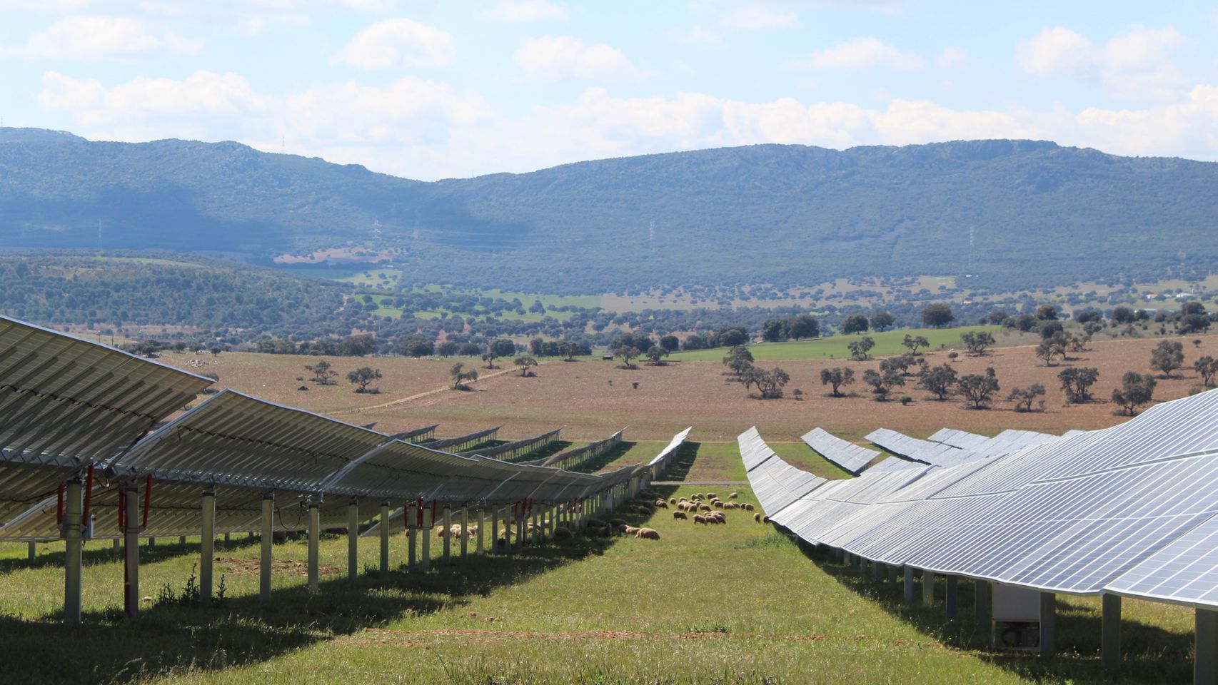 Una de las plantas fotovoltaicas de Naturgy.