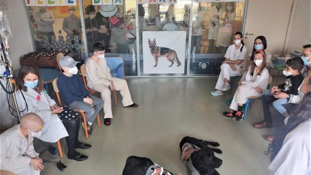 Primera sesión de la terapia