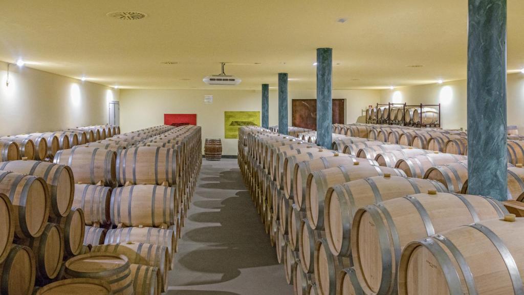 El interior de la bodega.
