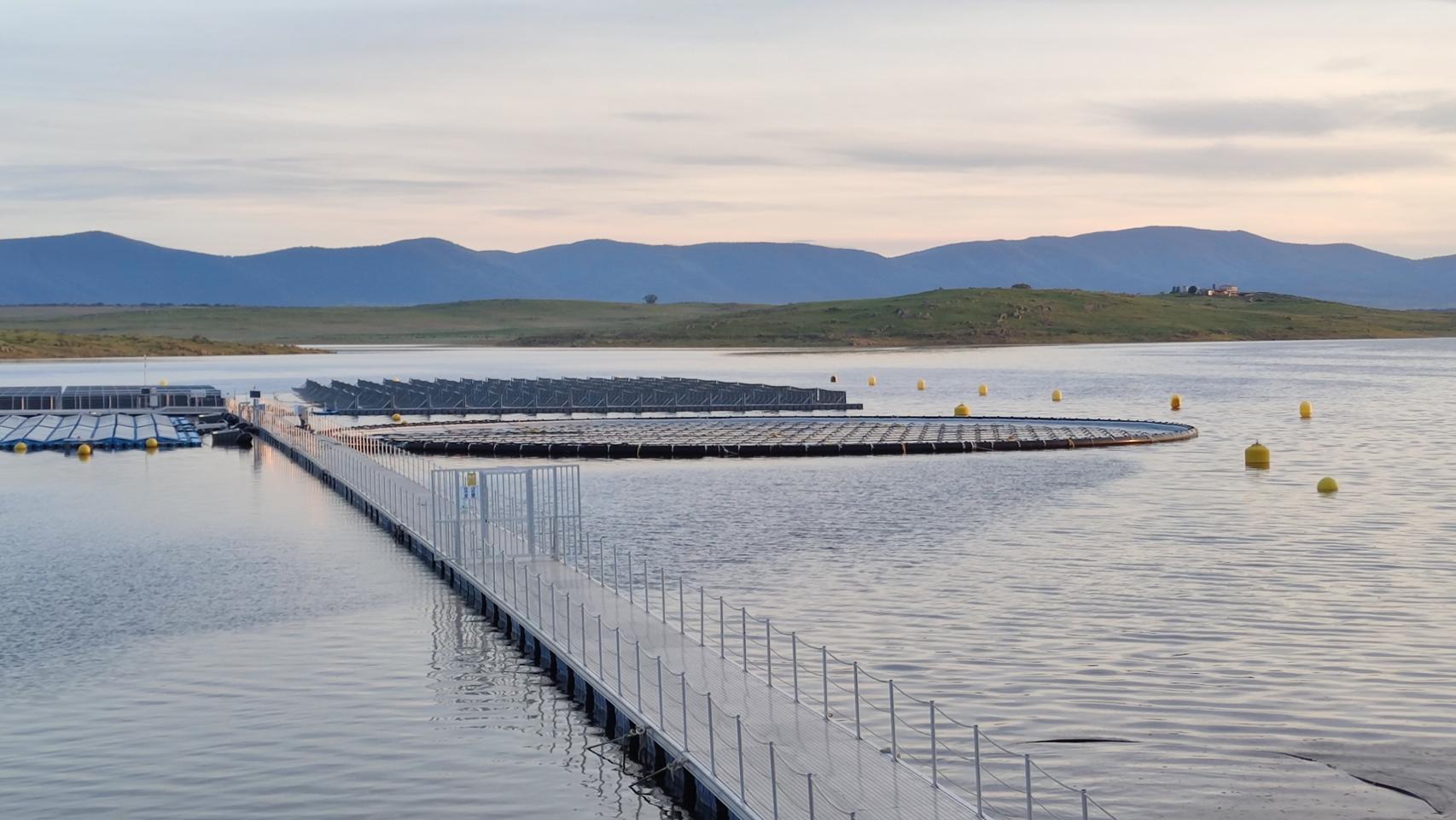 La planta solar flotante en el embalse de Sierra Brava de Zorita (Cáceres) de Acciona Energía.