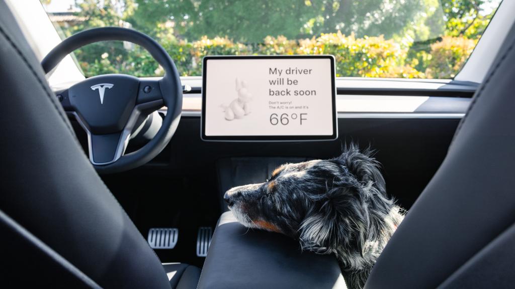 Interior del Tesla Model Y.
