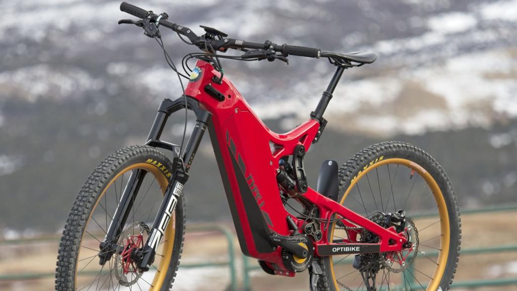 Bicicleta Riot