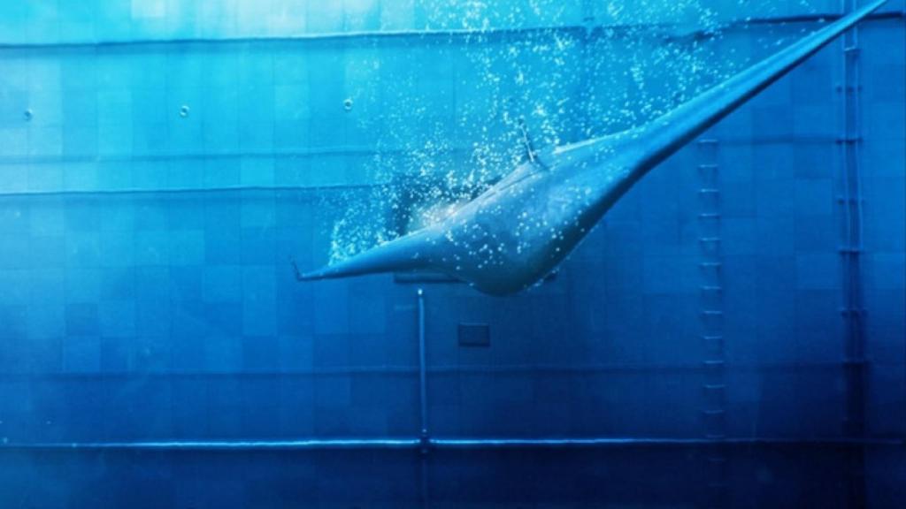 Pruebas con el prototipo del mantarraya en una fase temprana