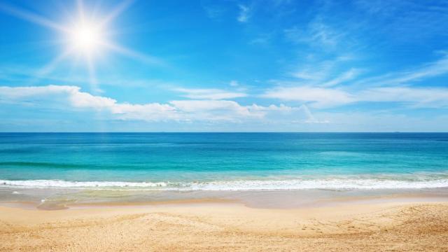 Un día soleado en la playa