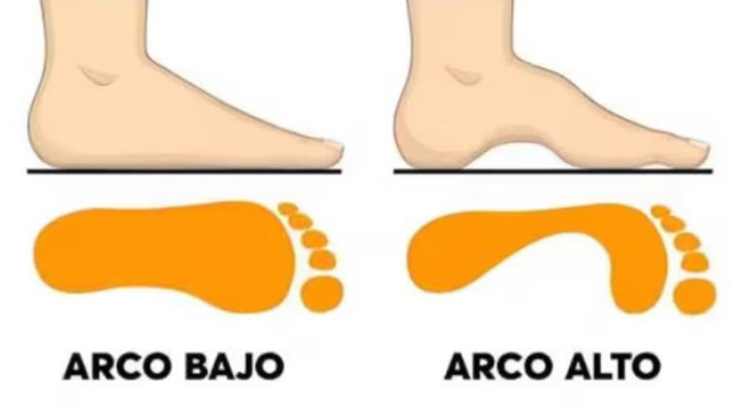 Test de personalidad.