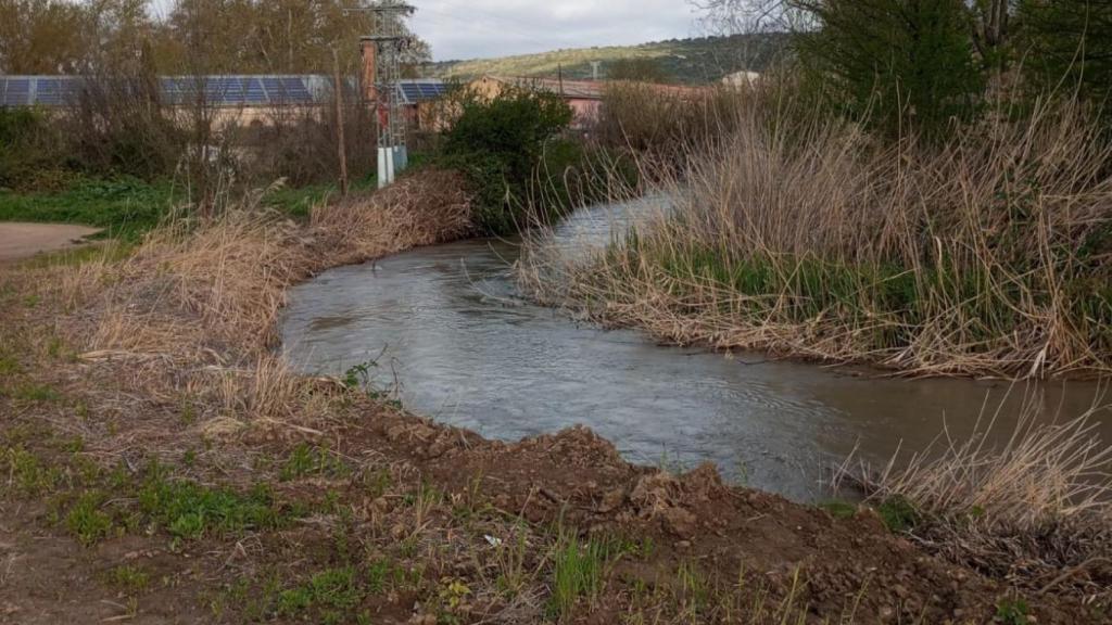 Imagen del cauce del río Tajuña en estos días.