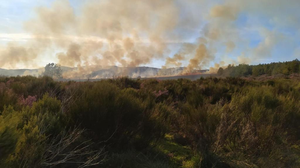 El incendio en el municipio leonés de San Feliz de las Lavanderas.