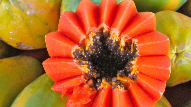 Esta fruta originaria de México, y muy cultivada en Canarias, es muy saludable.