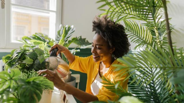 Mujer feliz regando una planta.