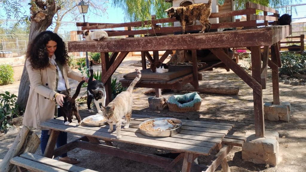La concejala de Sanidad, Cristina Cutanda, junto con los gatos del albergue municipal.