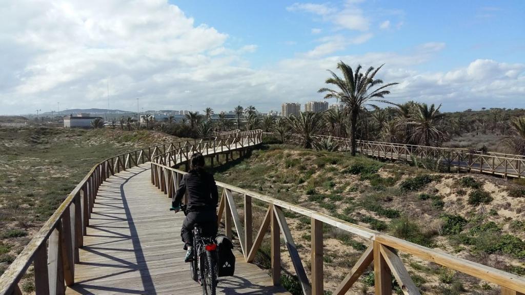La ruta por los entornos de las dunas de Guardamar.