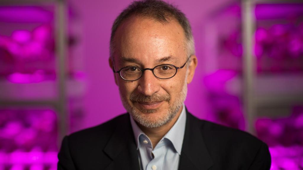 Stefano Mancuso. Foto: Galaxia Gutenberg