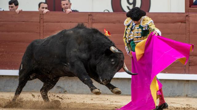Mario Navas este fin de semana en Las Ventas
