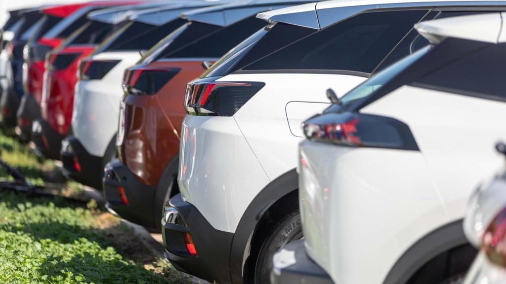 Varios coches en venta.
