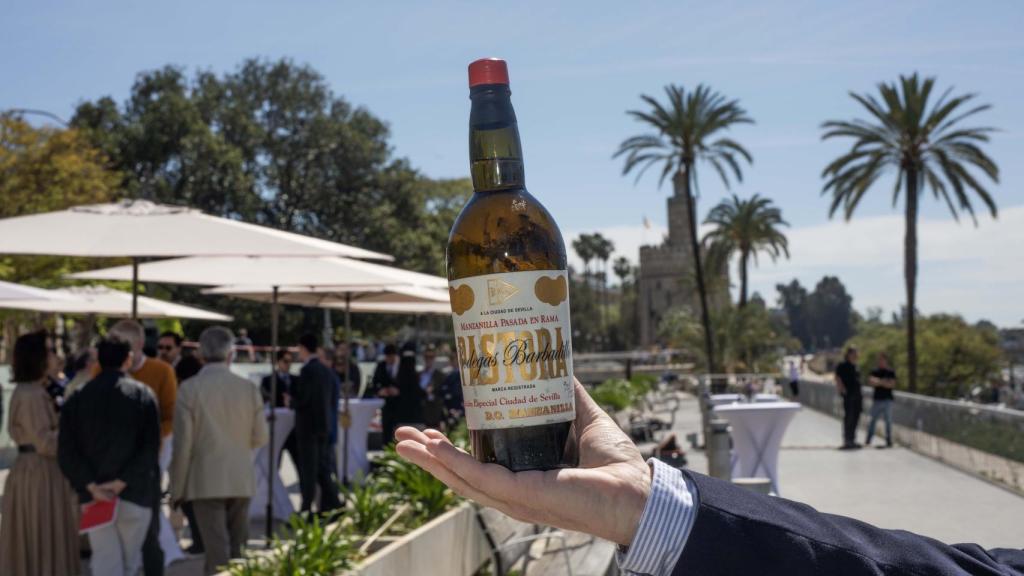 Manzanilla Pastora Edición Sevilla