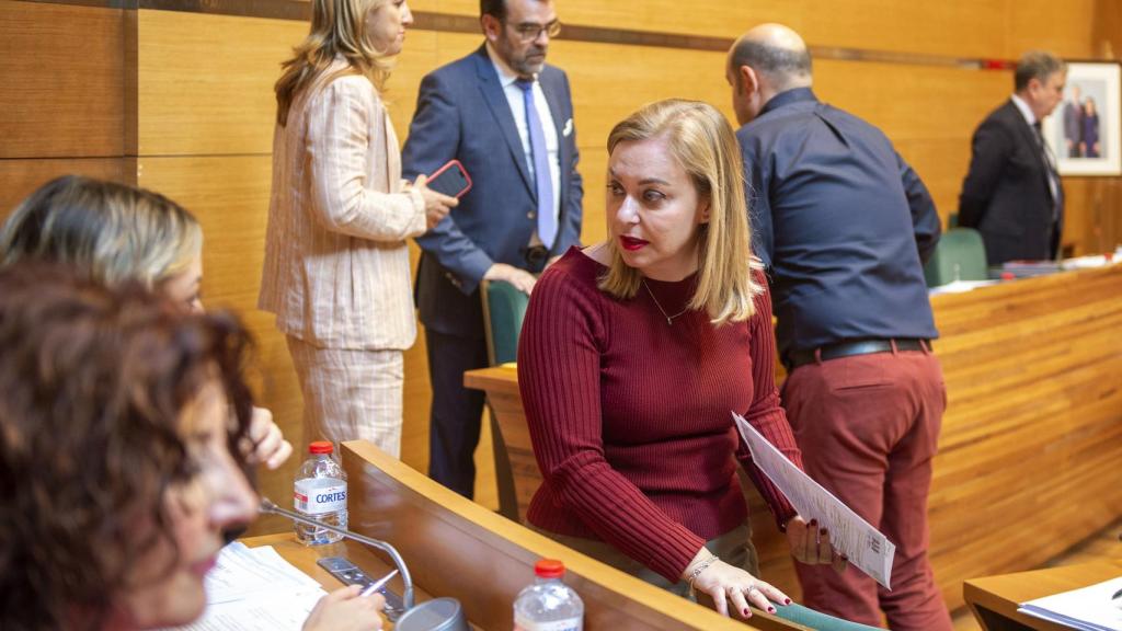 La vicepresidenta, Natalia Enguix, en el pleno este martes