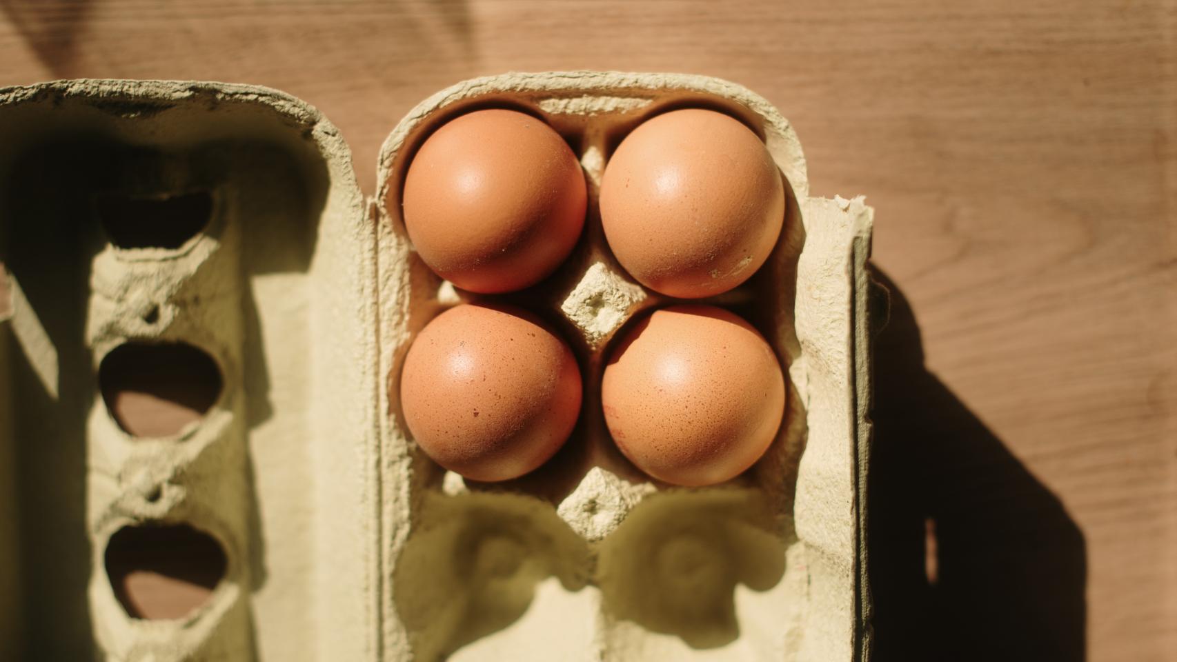Un cartón de huevos.