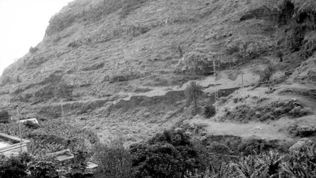 Terrenos de Silvestre Carrillo antes del estadio