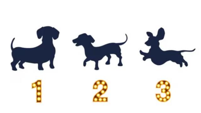 TEST VISUAL | Explora con calma las opciones y elige una de ellas. (Foto: Composición Freepik / Depor).