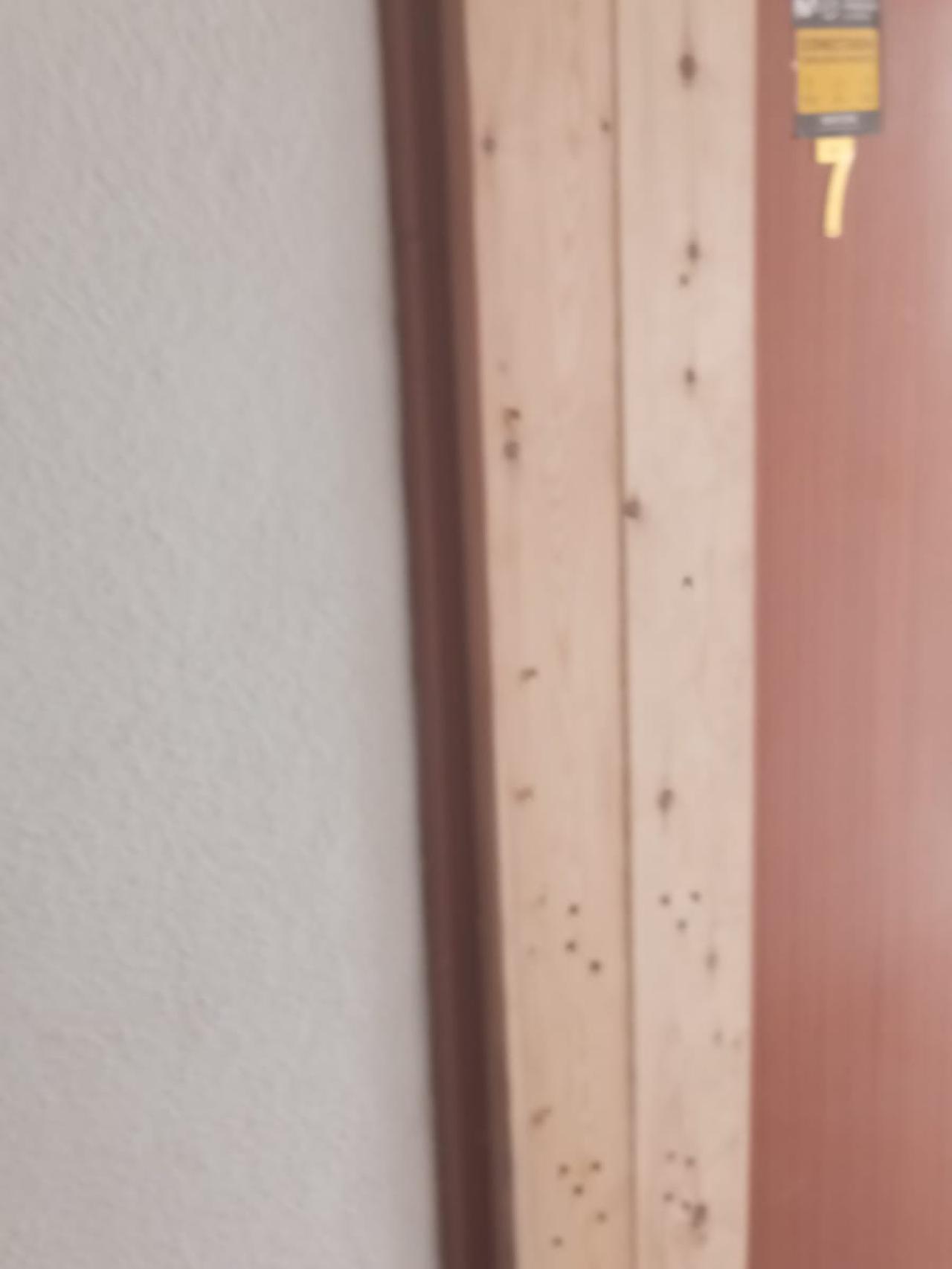 La habitación número 7 ha aparecido tapiada supuestamente por el casero denunciado ante la Guardia Civil.