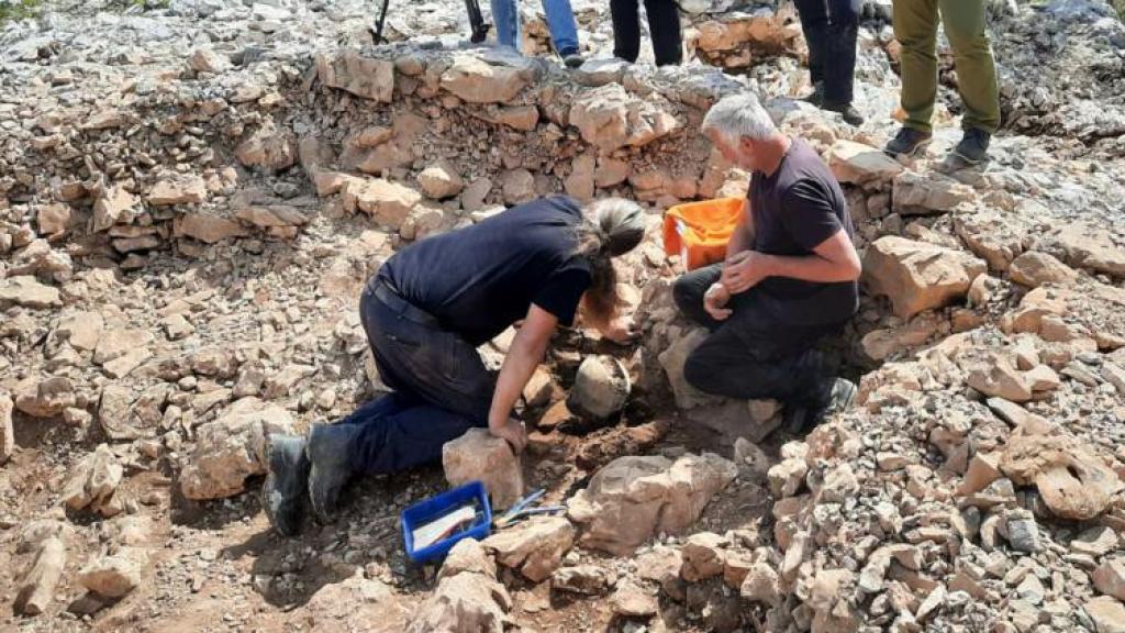 Excavación del túmulo donde apareció el casco