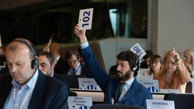 Juan García Gallardo en Bruselas