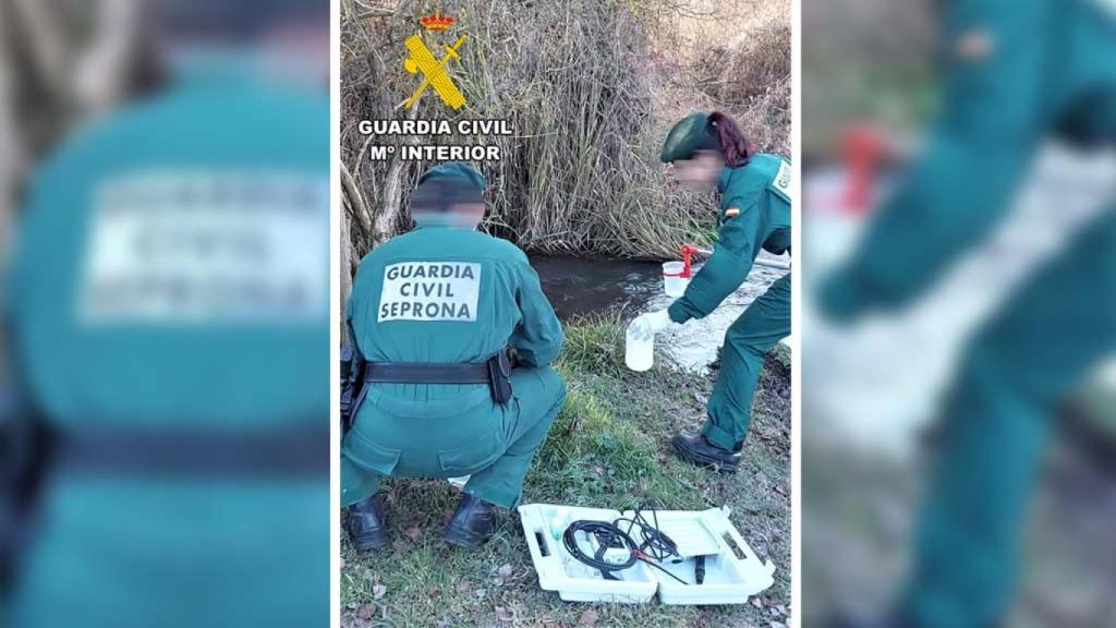 Una intervención de la Guardia Civil en imagen de archivo