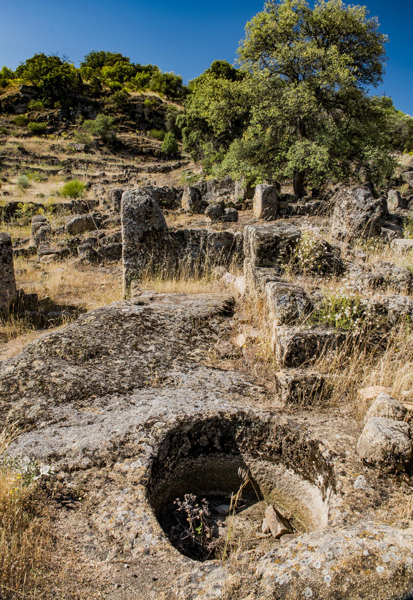 Zona de viviendas en la medina.