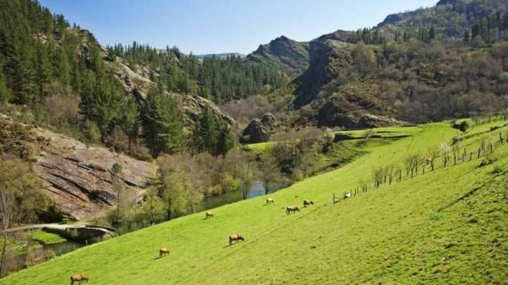 Imagen de Santa Eulalia de Oscos.