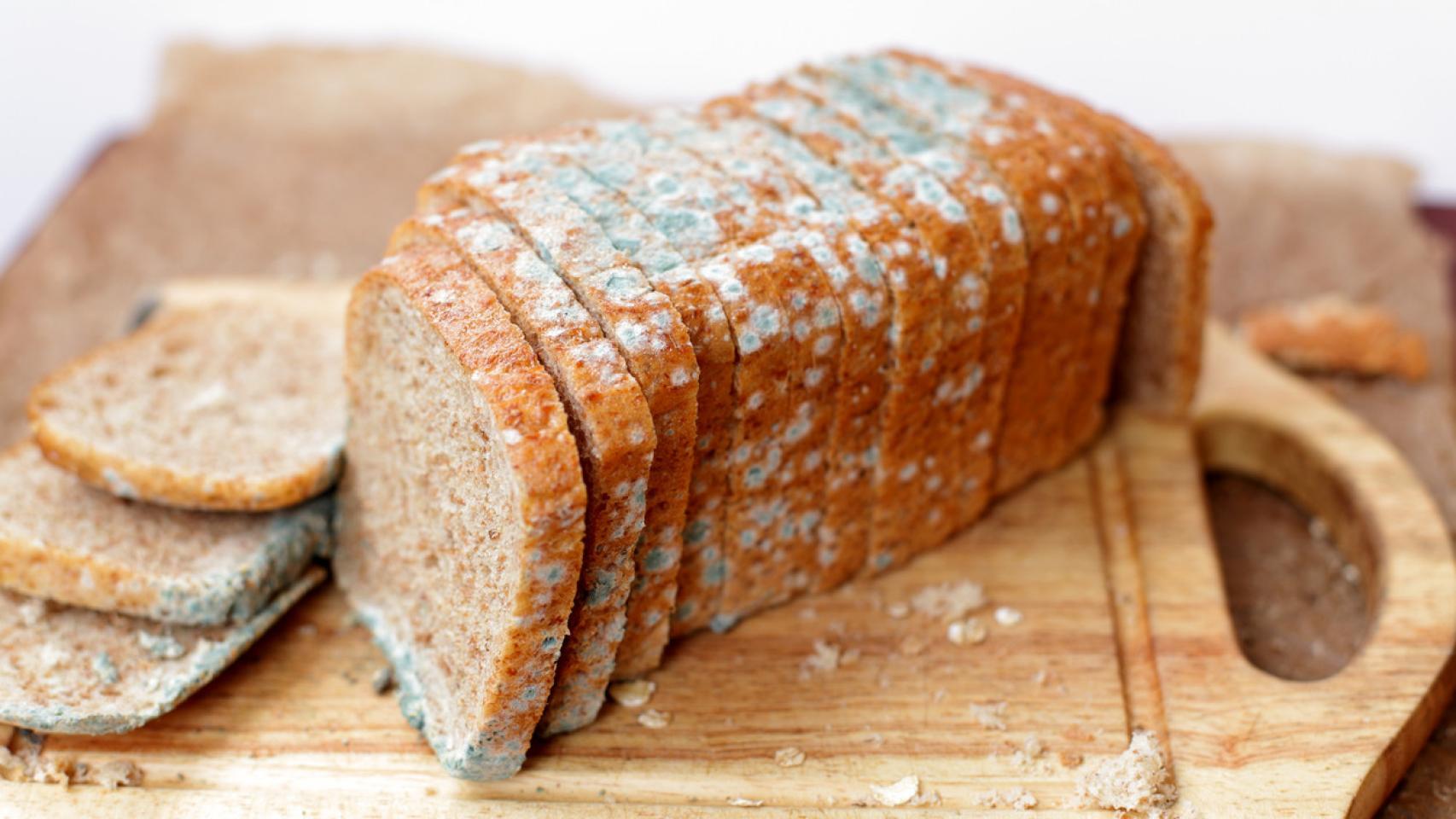 Pan de molde con moho.