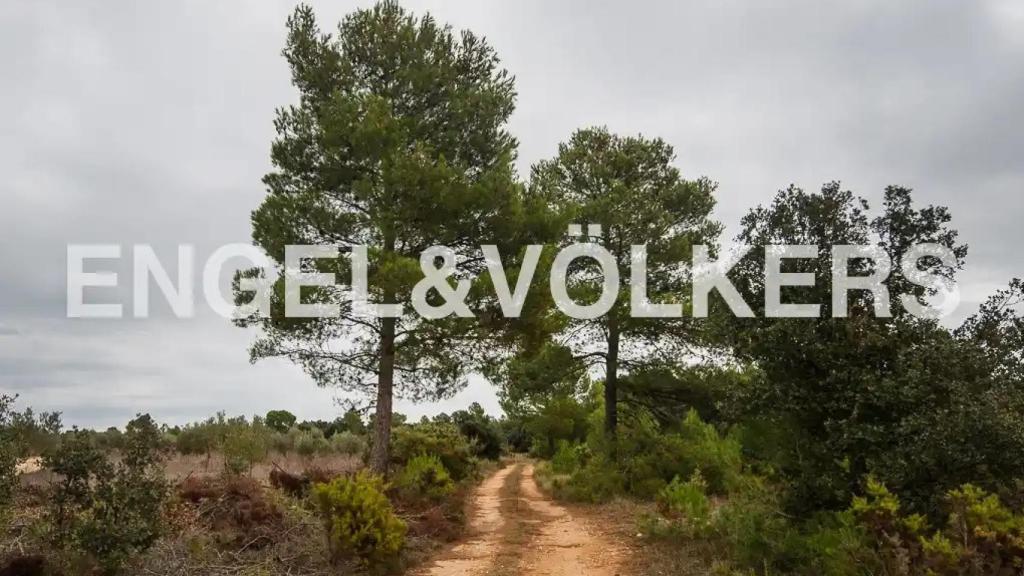 La finca en venta más grande de la provincia de Valencia. Engels & Volkers