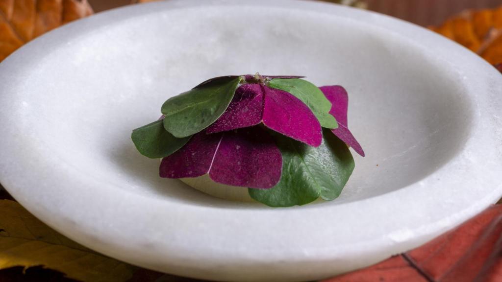 Alcachofa, Levadura y Manzana Pink Lady®️.