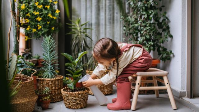 Niña regando sus plantas.