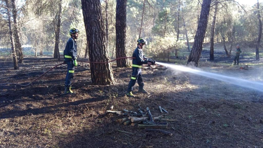 Los Bomberos de la Diputación de Valladolid trabajando en el pinar de Montemayor de Pililla