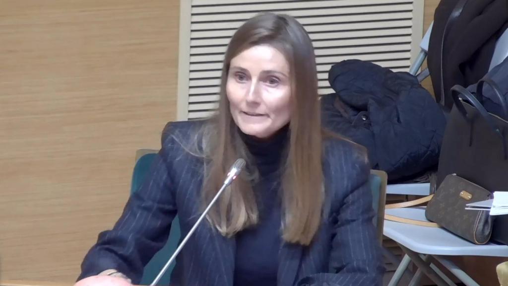 La concejala de Agricultura y Emprendimiento del Ayuntamiento de Valencia, Cecilia Herrero, durante un pleno del consistorio.  Ayuntamiento de Valencia