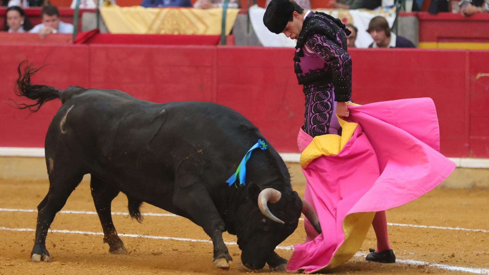 La novillada en la Plaza de Zaragoza