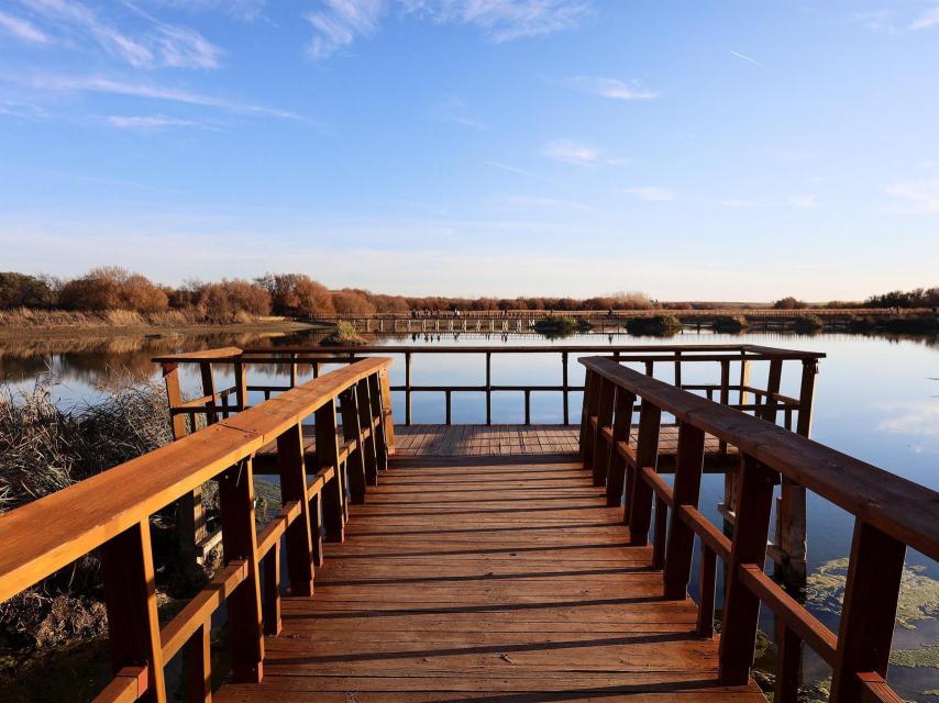 Parque Nacional de ls Tablas de Daimiel. Imagen de archivo de Europa Press