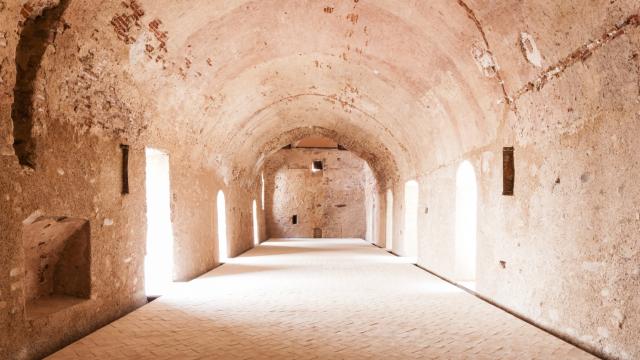 Nuevo hallazgo gótico en Castellón: descubren pinturas murales en Betxí. EE
