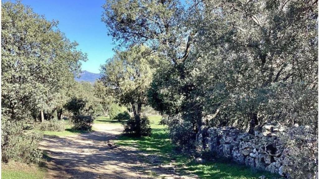 Finca en Colmenar Viejo
