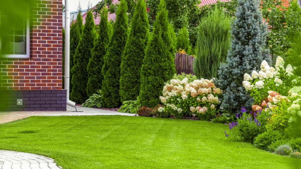 Imagen del jardín de una casa.