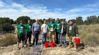 Imagen de la plantación de árboles.