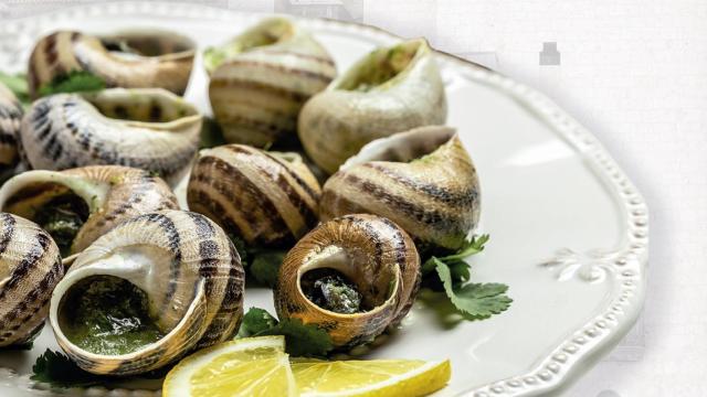 Imagen de un plato de caracoles guisados