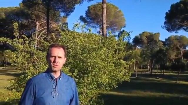 El pinar 'Pimpollada', en Simancas, de casi desaparecer a ser un paraje natural único