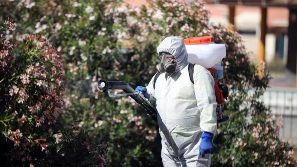 Un operario realiza labores de fumigación en una imagen de archivo.