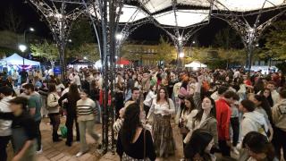 Feria de Cerveza Artesana en Sonseca (Toledo).