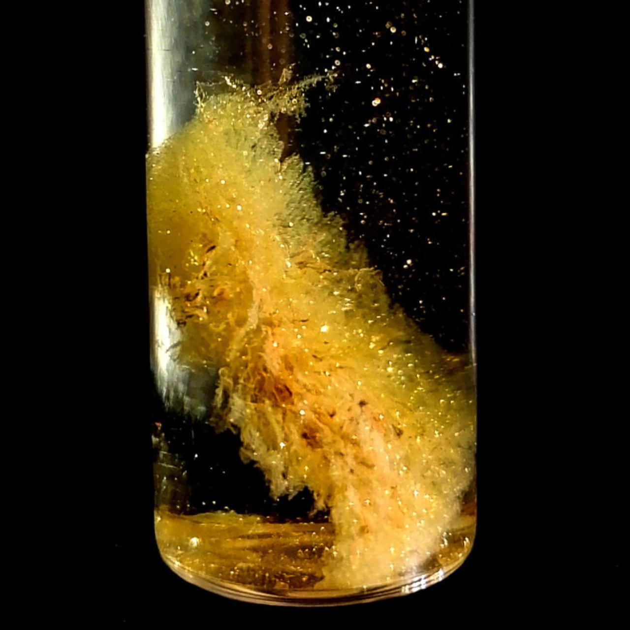 Aerogel cargado con iones de oro.