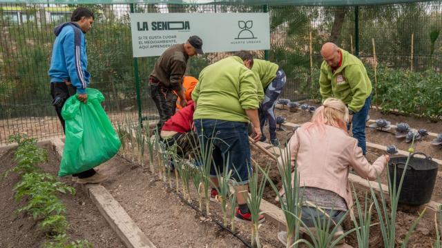 Un huerto urbano ubicado dentro de 'La Senda'.