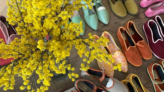 Colección Venezianas