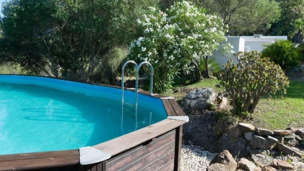 Piscina exterior de la villa en Betis