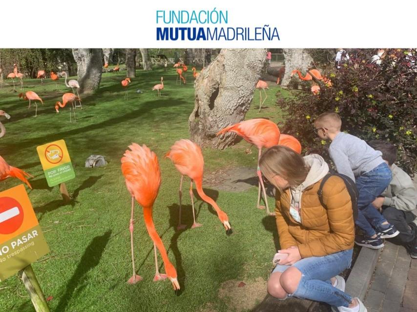Esta iniciativa no podría haber sido posible  sin la colaboración de Accem y Fundación Mutua Madrileña.